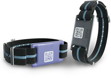 Wristband